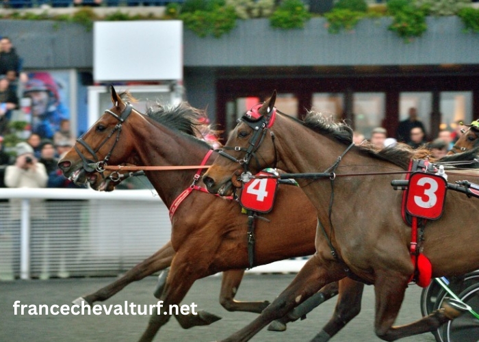 Turf DE France