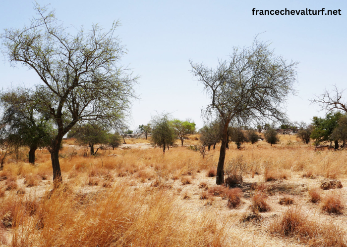 Météo Bobo-Dioulasso