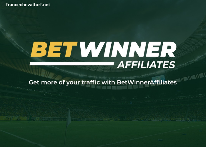 Betwinner Affiliates