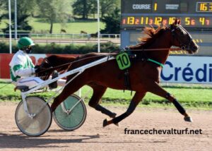 Cplemaire LA Voyeuse