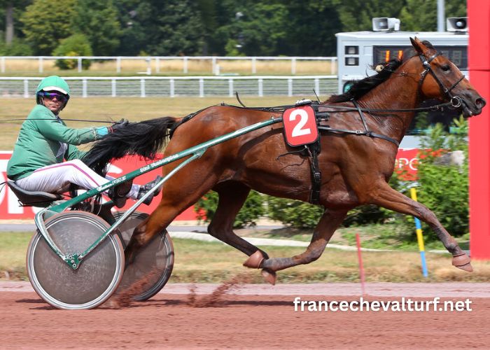 100pour100quinte Sur