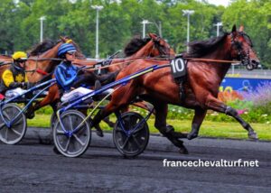 Arrivée Pmu Du Jour Burkina Faso