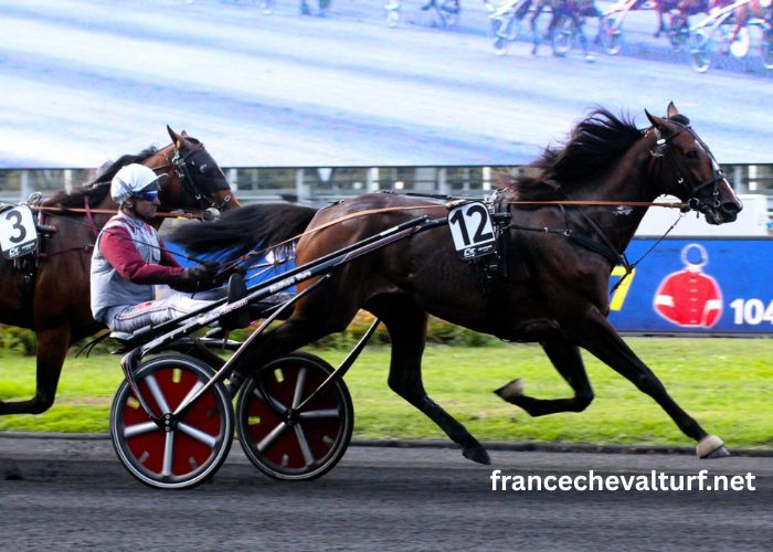 Coup Sur Du Jour