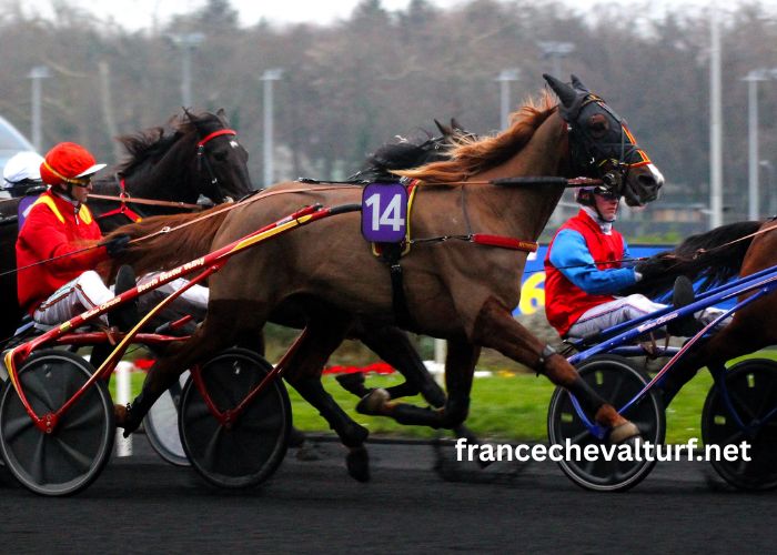 Formule Sur Pmu