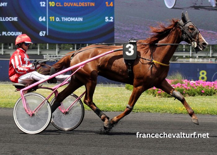 LA Voyeuse Sur