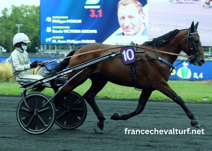Le Po Du Gagnant (1)