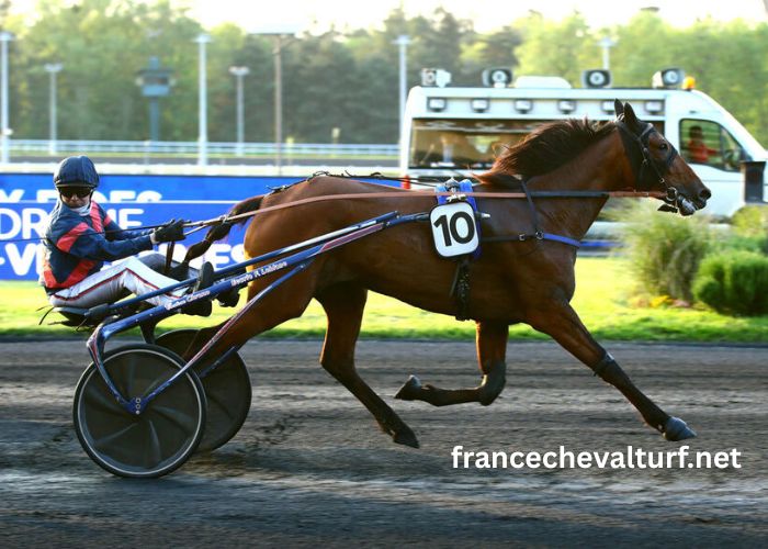 Legende Hippique Turf (1)