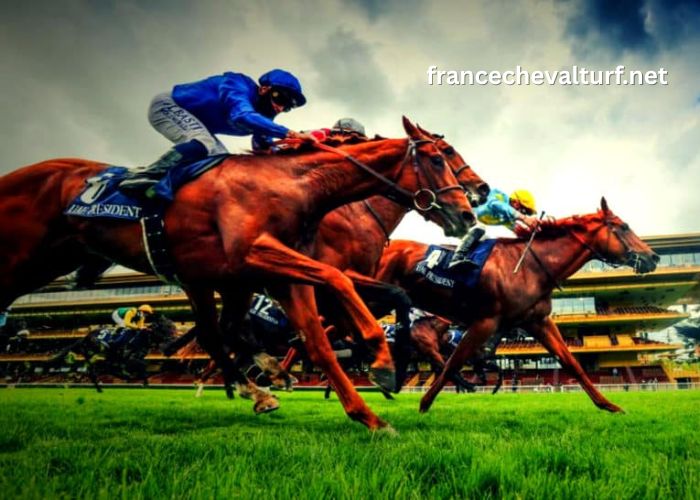 Maxi Prono Vérité (1)