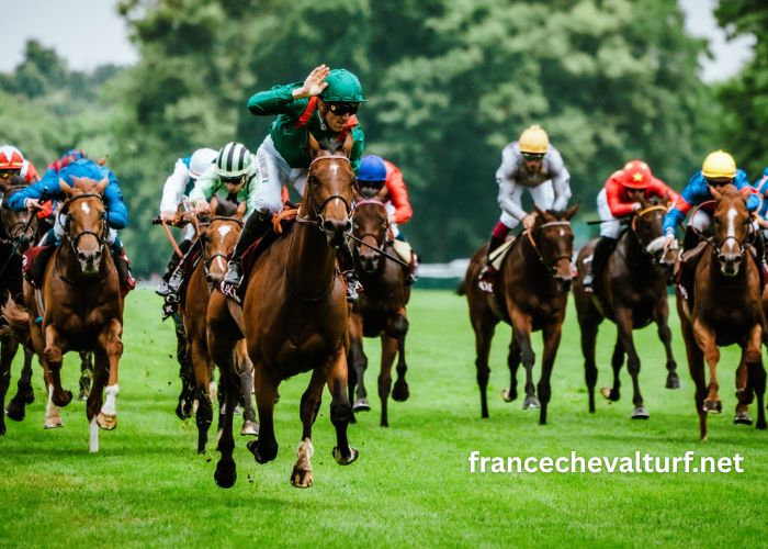 Meilleur Vip Pronostic (2)