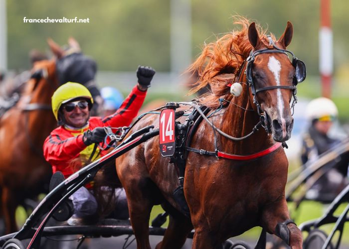Power Turf Gagnant